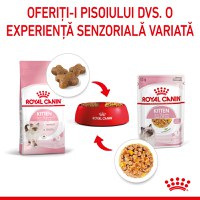 ROYAL CANIN Kitten, hrană umedă pisici, (în aspic), 85g - 9