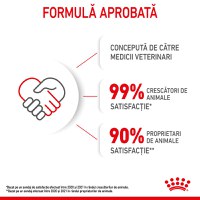 ROYAL CANIN Kitten, hrană umedă pisici, (în aspic), 85g - 11