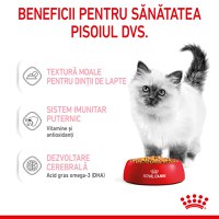 ROYAL CANIN Kitten, hrană umedă pisici, (în aspic), 85g - 4