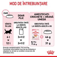 ROYAL CANIN Kitten, hrană umedă pisici, (în aspic), 85g - 7