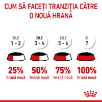 ROYAL CANIN Kitten, hrană umedă pisici, (în aspic), 85g - 8