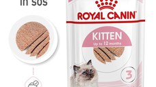 ROYAL CANIN Kitten, hrană umedă pisici junior, (pate), 85g