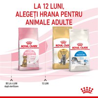 ROYAL CANIN Kitten Sterilised, hrană uscată pisici sterilizate junior, 400g - 10