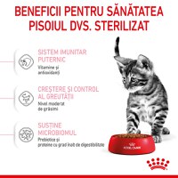 ROYAL CANIN Kitten Sterilised, hrană uscată pisici sterilizate junior, 400g - 5