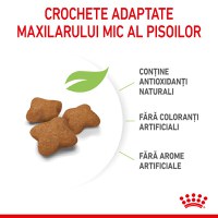 ROYAL CANIN Kitten Sterilised, hrană uscată pisici sterilizate junior, 400g - 6