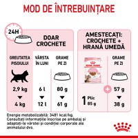 ROYAL CANIN Kitten Sterilised, hrană uscată pisici sterilizate junior, 400g - 8