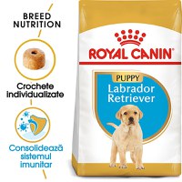 ROYAL CANIN Labrador Puppy, hrană uscată câini junior, 12kg - 1