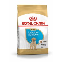 ROYAL CANIN Labrador Puppy, hrană uscată câini junior, 12kg - 3