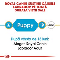 ROYAL CANIN Labrador Puppy, hrană uscată câini junior, 12kg - 9