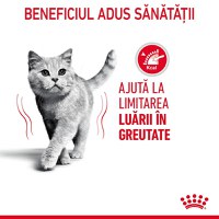 Royal Canin Light Weight Care Adult, hrană uscată pisici, managementul greutății ROYAL CANIN Feline Care Nutrition Light Weight Care, hrană uscată pisici, managementul greutății, 8kg - 10