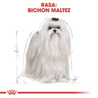 ROYAL CANIN Maltese Adult, hrană uscată câini, 500g - 4