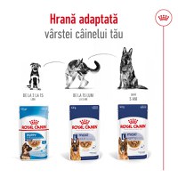 ROYAL CANIN Maxi Adult, hrană umedă câini, (în sos), 140g - 7