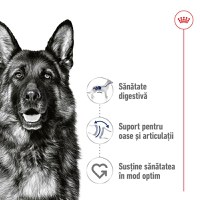 ROYAL CANIN Maxi Adult, hrană umedă câini, (în sos), 140g - 3