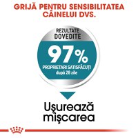 Royal Canin Maxi Joint Care Adult, hrană uscată câini, îngrijirea articulațiilor, 10kg - 5