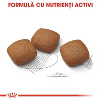 Royal Canin Maxi Joint Care Adult, hrană uscată câini, îngrijirea articulațiilor, 10kg - 4