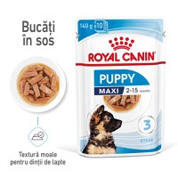 ROYAL CANIN Maxi Puppy, hrană umedă câini junior, (în sos), 140g - 1