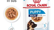 ROYAL CANIN Maxi Puppy, hrană umedă câini junior, (în sos), 140g