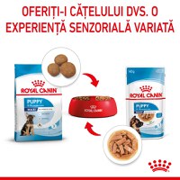 ROYAL CANIN Maxi Puppy, hrană umedă câini junior, (în sos), 140g - 9