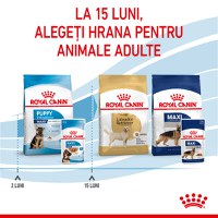 ROYAL CANIN Maxi Puppy, hrană umedă câini junior, (în sos), 140g - 10