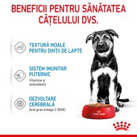 ROYAL CANIN Maxi Puppy, hrană umedă câini junior, (în sos), 140g - 4