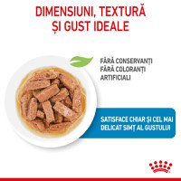 ROYAL CANIN Maxi Puppy, hrană umedă câini junior, (în sos), 140g - 5