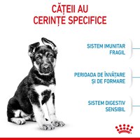 ROYAL CANIN Maxi Puppy, hrană uscată câini junior, 15kg - 5