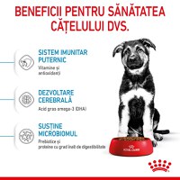 ROYAL CANIN Maxi Puppy, hrană uscată câini junior, 15kg - 3