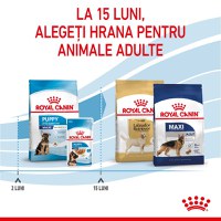 ROYAL CANIN Maxi Puppy, hrană uscată câini junior, 15kg - 4