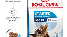 ROYAL CANIN Maxi Starter Mother & Babydog, mama și puiul, hrană uscată câini, 15kg