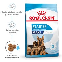 ROYAL CANIN Maxi Starter Mother & Babydog, mama și puiul, hrană uscată câini, 15kg - 1