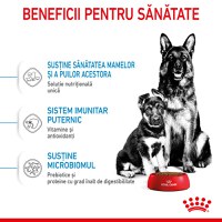 ROYAL CANIN Maxi Starter Mother & Babydog, mama și puiul, hrană uscată câini, 15kg - 5