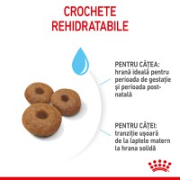 ROYAL CANIN Maxi Starter Mother & Babydog, mama și puiul, hrană uscată câini, 15kg - 6