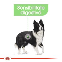 Royal Canin Medium Digestive Care, hrană uscată câini, confort digestiv, 3kg - 5