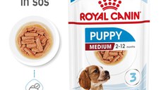 ROYAL CANIN Medium Puppy, hrană umedă câini junior, (în sos), bax, 140g x 10buc