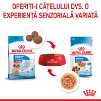 ROYAL CANIN Medium Puppy, hrană umedă câini junior, (în sos), bax, 140g x 10buc - 9