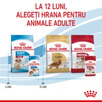 ROYAL CANIN Medium Puppy, hrană umedă câini junior, (în sos), bax, 140g x 10buc - 10