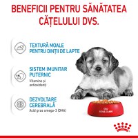 ROYAL CANIN Medium Puppy, hrană umedă câini junior, (în sos), bax, 140g x 10buc - 4