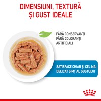 ROYAL CANIN Medium Puppy, hrană umedă câini junior, (în sos), bax, 140g x 10buc - 5