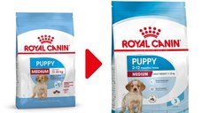 ROYAL CANIN Medium Puppy, hrană uscată câini junior, 15kg