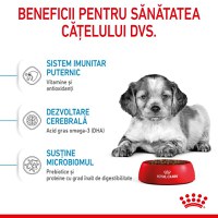 ROYAL CANIN Medium Puppy, hrană uscată câini junior, 15kg - 5