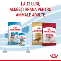 ROYAL CANIN Medium Puppy, hrană uscată câini junior, 15kg - 6