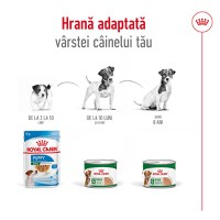 ROYAL CANIN Mini Adult hrană umedă câini (pate), 195g - 7