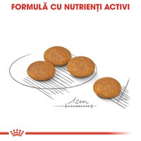 ROYAL CANIN Mini Dermacomfort, hrană uscată câini, prevenirea iritațiilor pielii, 1kg - 6