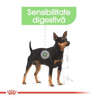 ROYAL CANIN Mini Digestive Care, hrană uscată câini, confort digestiv, 3kg - 4