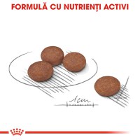 ROYAL CANIN Mini Digestive Care, hrană uscată câini, confort digestiv, 3kg - 6