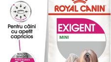 ROYAL CANIN Mini Exigent, hrană uscată câini, apetit capricios, 1kg