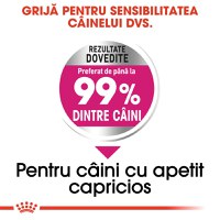 ROYAL CANIN Mini Exigent, hrană uscată câini, apetit capricios, 1kg - 5