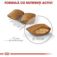 ROYAL CANIN Mini Exigent, hrană uscată câini, apetit capricios, 1kg - 6