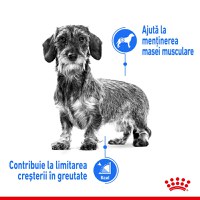 Royal Canin Mini Light Weight Care Adult, hrană uscată câini, managementul greutății, 1kg - 6