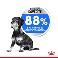 Royal Canin Mini Light Weight Care Adult, hrană uscată câini, managementul greutății, 1kg - 5